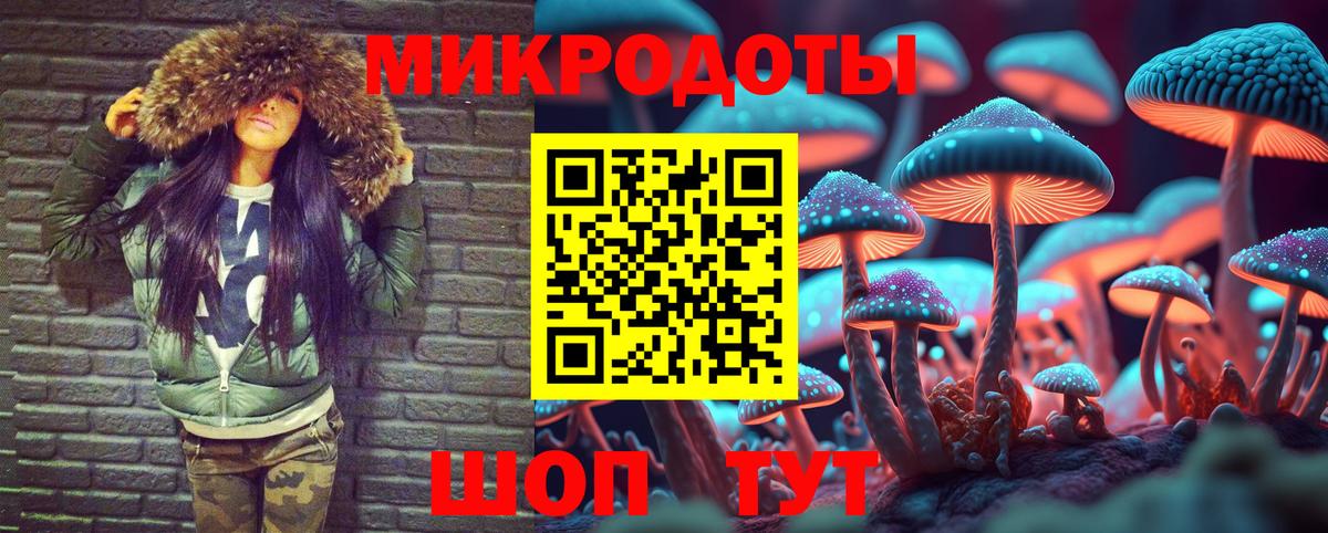 Псилоцибиновые грибы MAGIC MUSHROOMS  Псилоцибиновые грибы Cubensis  Новокуйбышевск  цены   Вход с VPN 