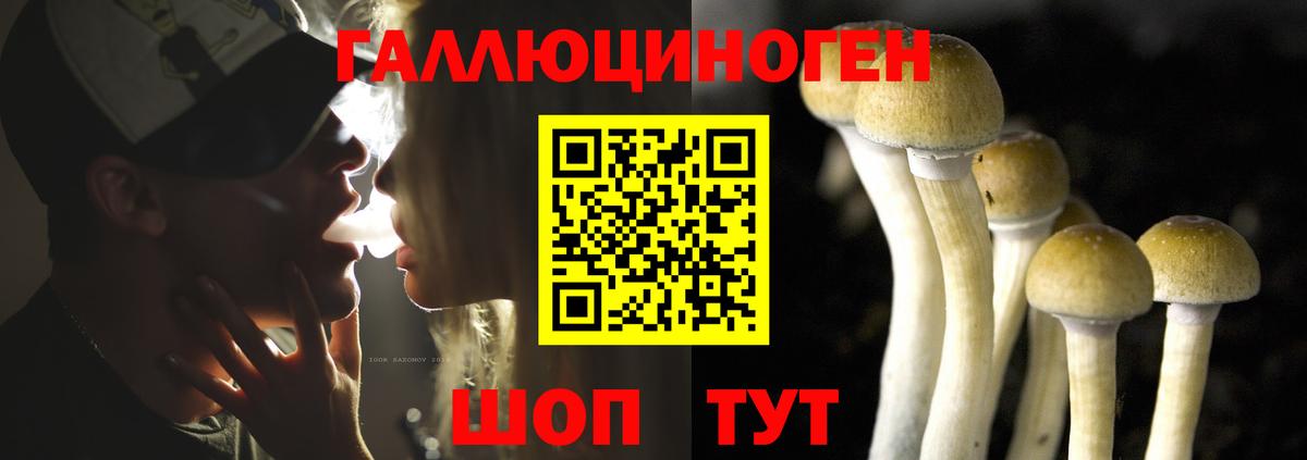 Псилоцибиновые грибы мухоморы Новокуйбышевск